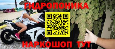 круглые Кингисепп
