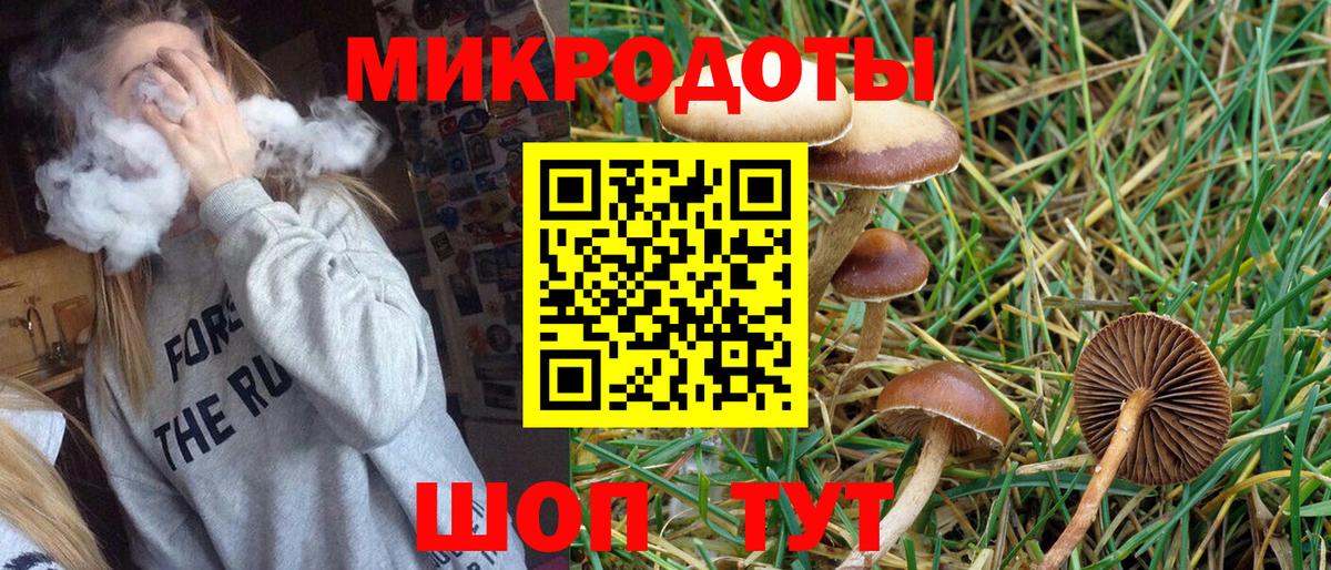 Галлюциногенные грибы прущие грибы  хочу наркоту  Вход с VPN  Кувандык  Псилоцибиновые грибы Cubensis 